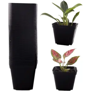 50 Packs Square  Pots for  4 Inch Succulent  Pots Set Plastic Seedling Starting Pots with Drainage Holes  Pots Variety Pack Flower pots Planter Seed Starter, Black