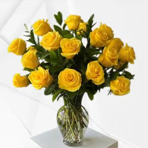 24 Amber Radiance Yellow Roses – Two Dozen Premium Yellow Roses