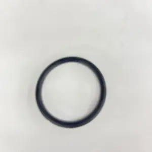876-174 Piston O-Ring 2 PC for NV45AB2 NT50 N5024A High-Quality Sealing Solution