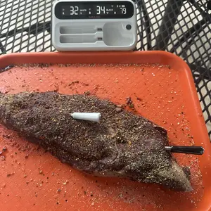 INKBIRD wireless meat thermometer, WIFI&Bluetooth meat thermometer,  suitable for cooking, frying, home cooked dishes, kitchen utensils, Holiday Gifts TikTokShopHolidayHaul