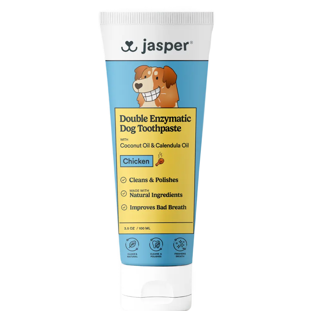 Jasper Double Enzymatic Toothpaste, Chicken Flavor, 3.5oz