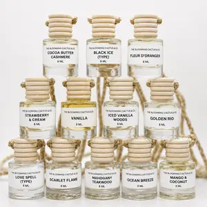 12 Pack Hanging Car Air Fresheners – Assorted Scents, Long Lasting Oil Diffuser