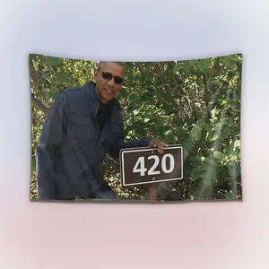 Funny 420 Barack Obama Tapestry, Weed Meme Wall Hanging Decor, Political Humor Art Banner, Dorm Room Wall Art, Gift for Fans
