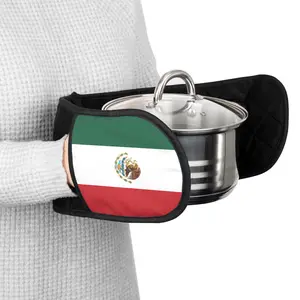 Mexican Flag Oven Mitts, Kitchen Gifts, BBQ Accessories, Colorful Cooking Gear, Home Decor, Flag of Mexico Gift