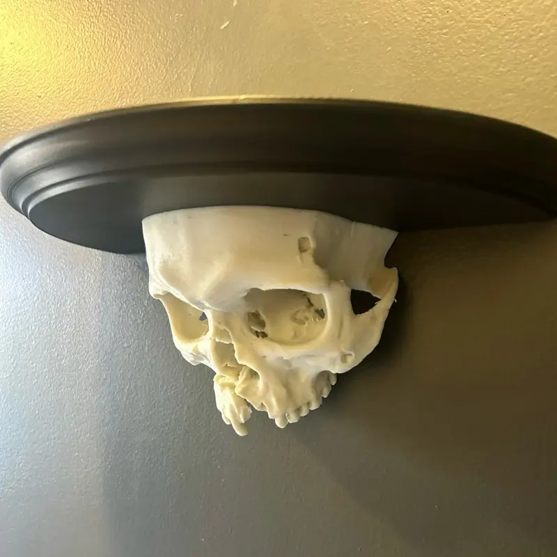 Gothic Skull Wall Shelf | Macabre Decor | Spooky Floating Shelf