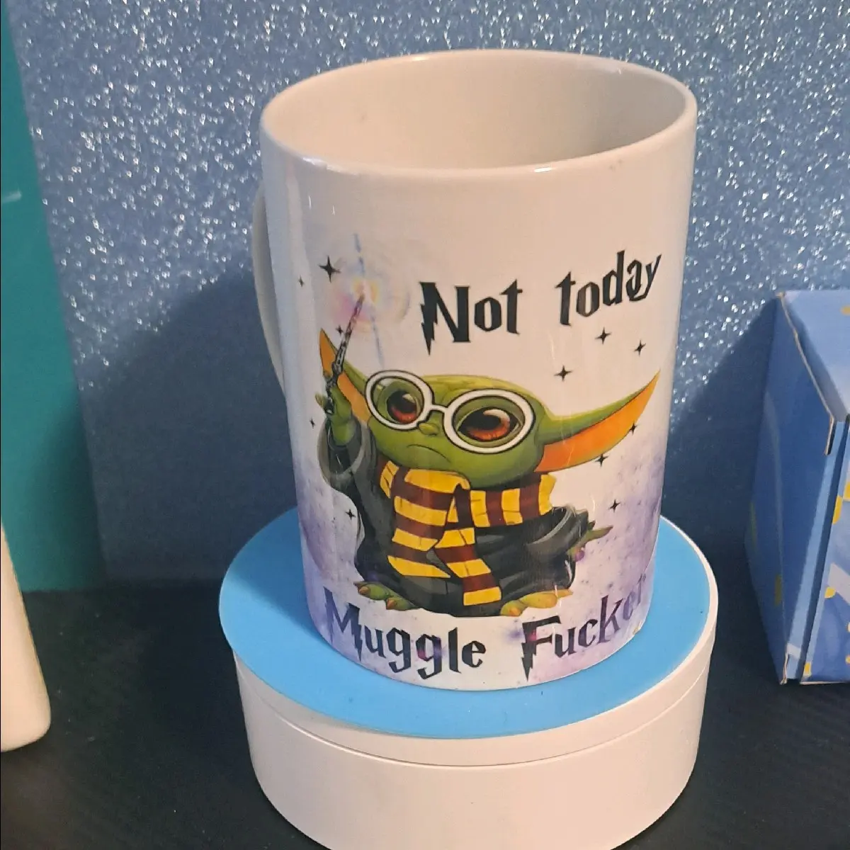 not today muggle mug