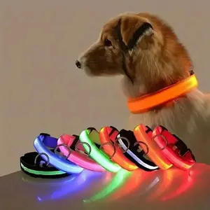 LED Nylon Dog Leash & Collar Set - Night Safety