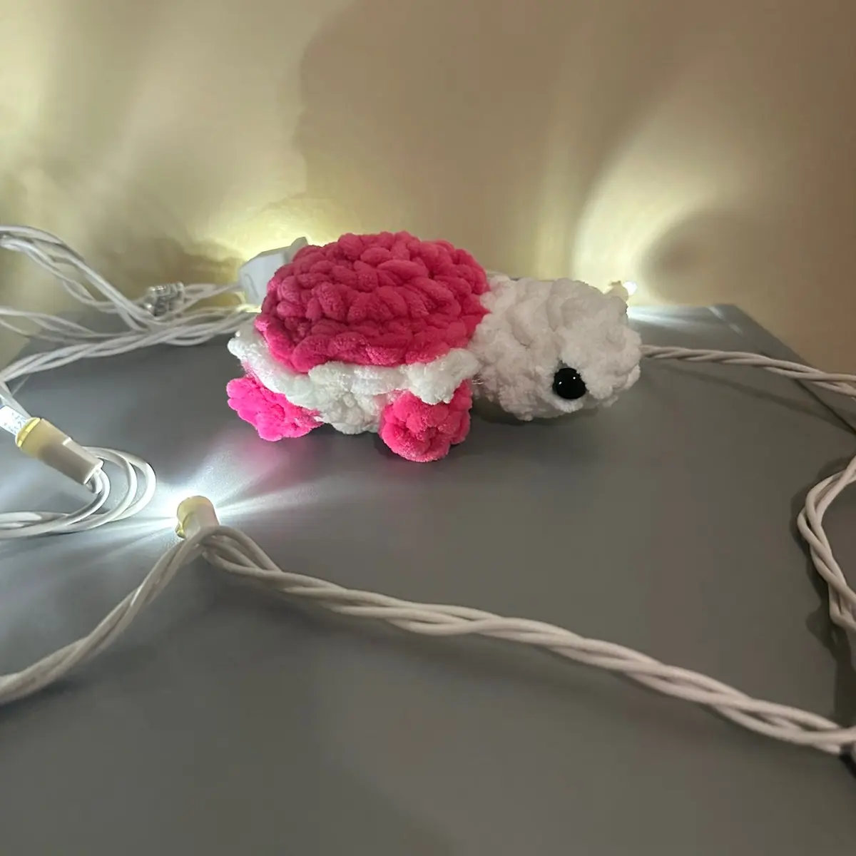 Baby pink turtle