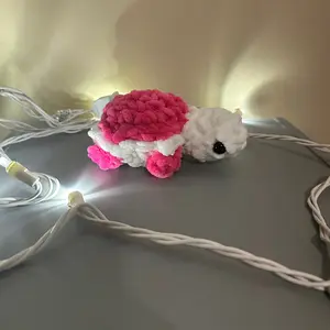 Baby pink turtle