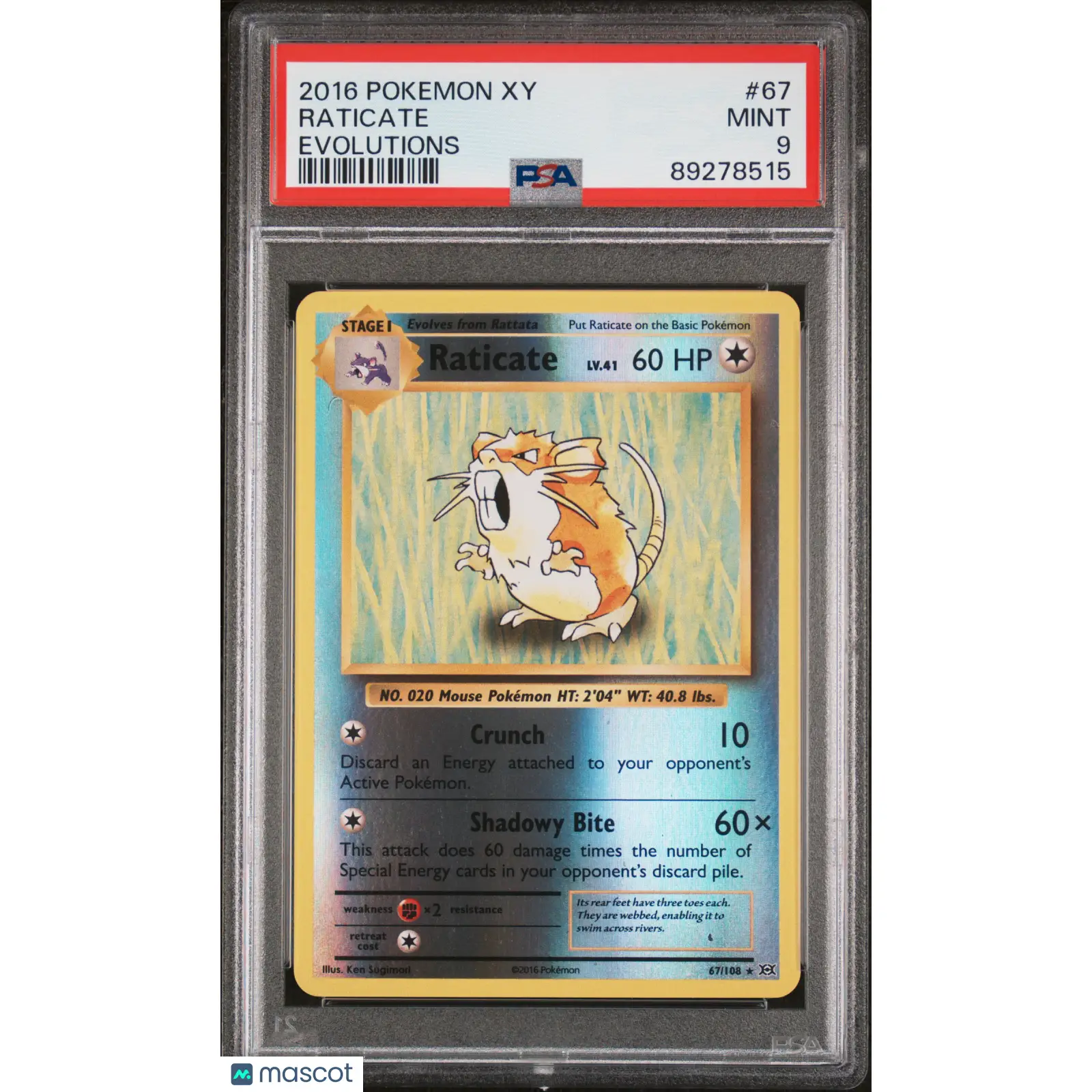 PSA 2016 Pokémon TCG Raticate #67 Reverse Holo XY Evolutions 9 Graded Card