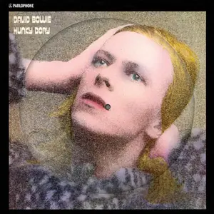 Hunky Dory - David Bowie - Record Album, Vinyl LP