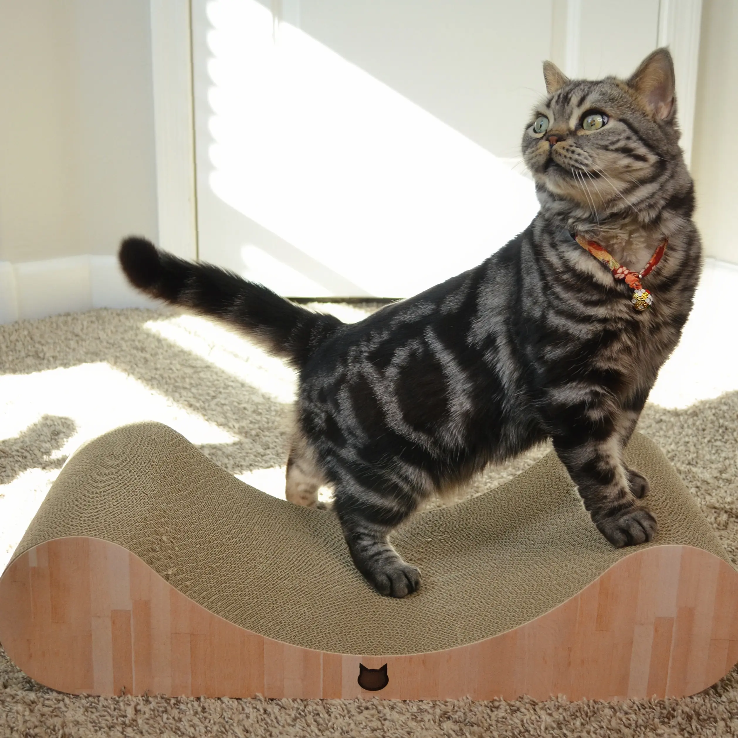 Premium Comfort Curved Cat Lounger Large (Oak)