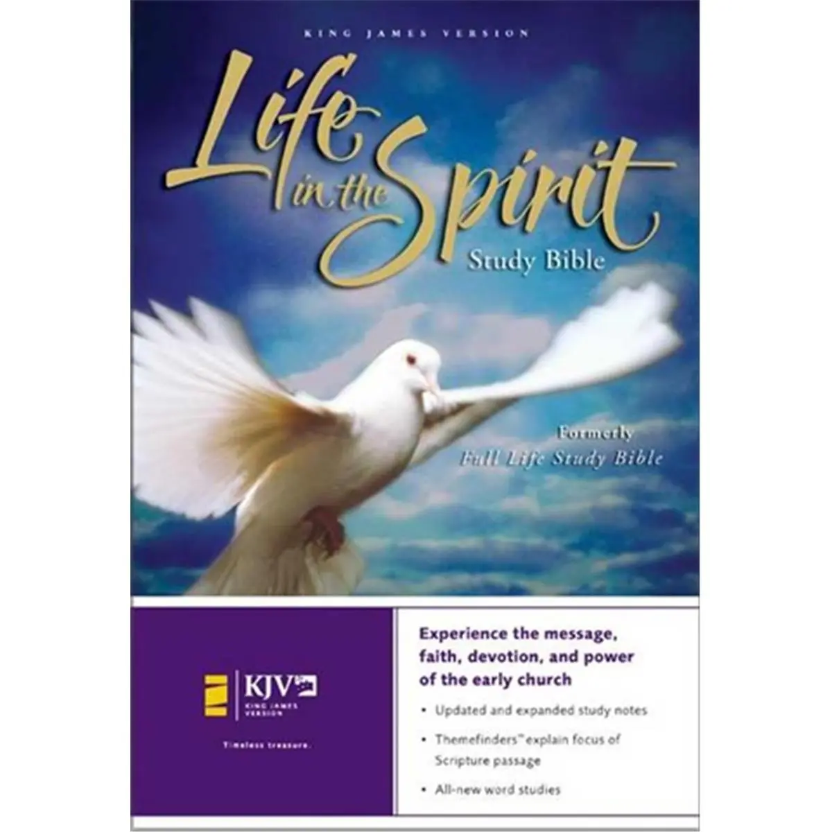 Zondervan 577579 KJV Life In The Spirit Study Bible - English Revised Version, Hard Cover for Spirit-Filled Christians