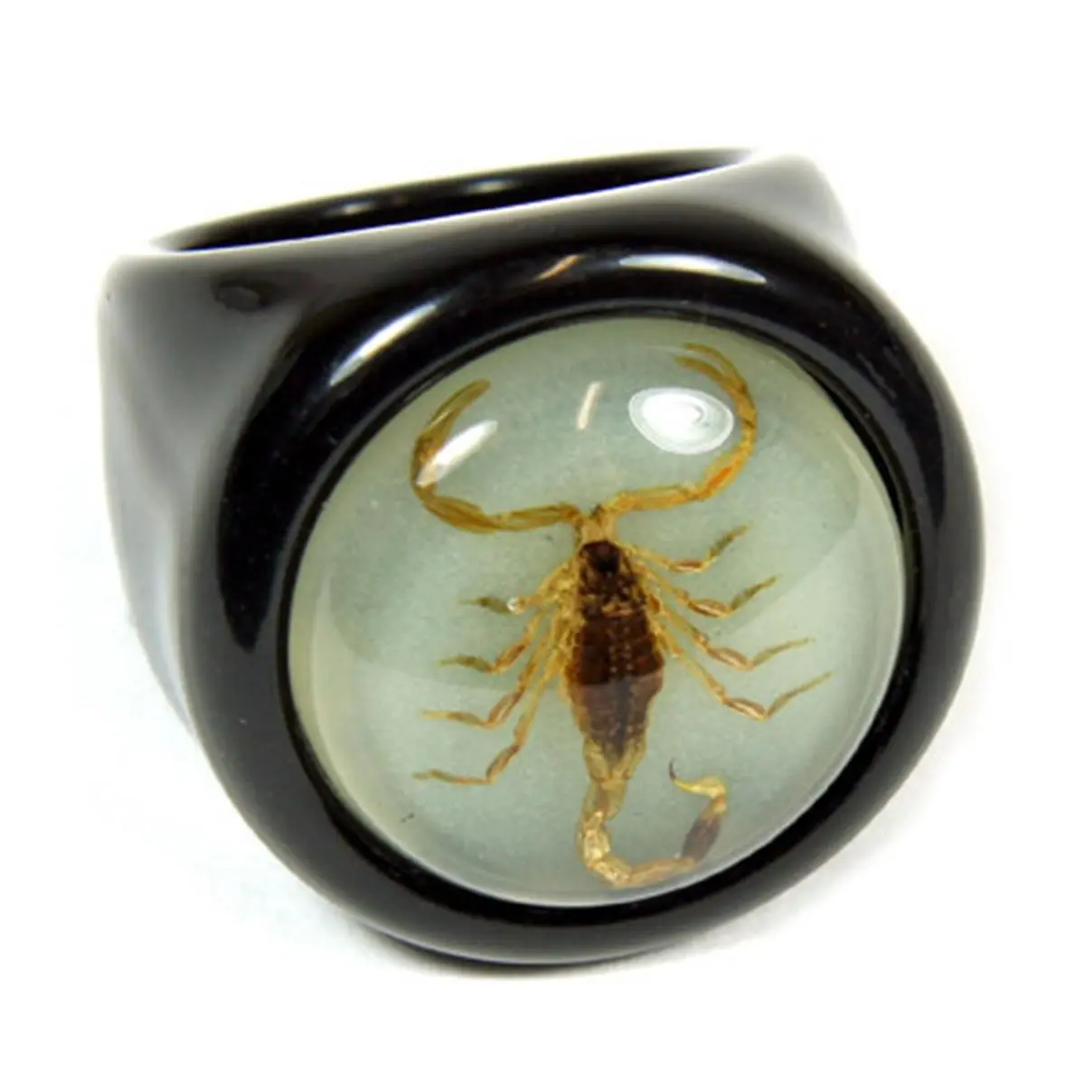 212 MAIN Ed Speldy East Gold Scorpion Black Ring - Size 6, Unique Rings with Acrylic Base & Glow-Backing, Scorpion Motif Casual Statement Pieces Jewelry, Sports & Outdoor Water Sports Accessory
