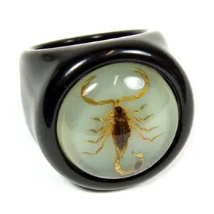 Ed Speldy East  Gold Scorpion Black Ring with Glow in Dark Back - Size 6