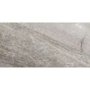 12 X 24 In Evolution Mica Matte Pressed Glazed Porcelain