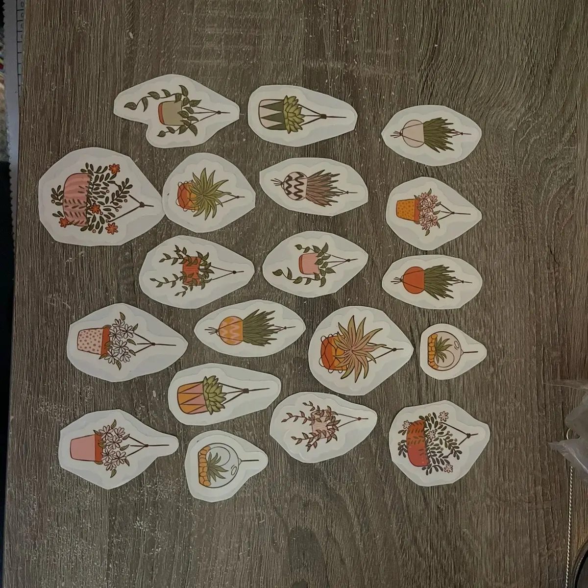 Succulent stickers 18 pack