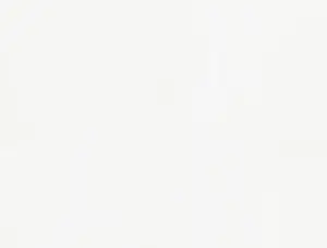 Kona Cotton Solid 108 inch Wide - Snow - (1 yard)