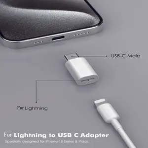 Type C Adapter Micro Lightning to USB C Connector Converter, Data Sync and Charging, Compatible with Type C Smartphone, Phones Tablets, Not for Headphones Audio Devices