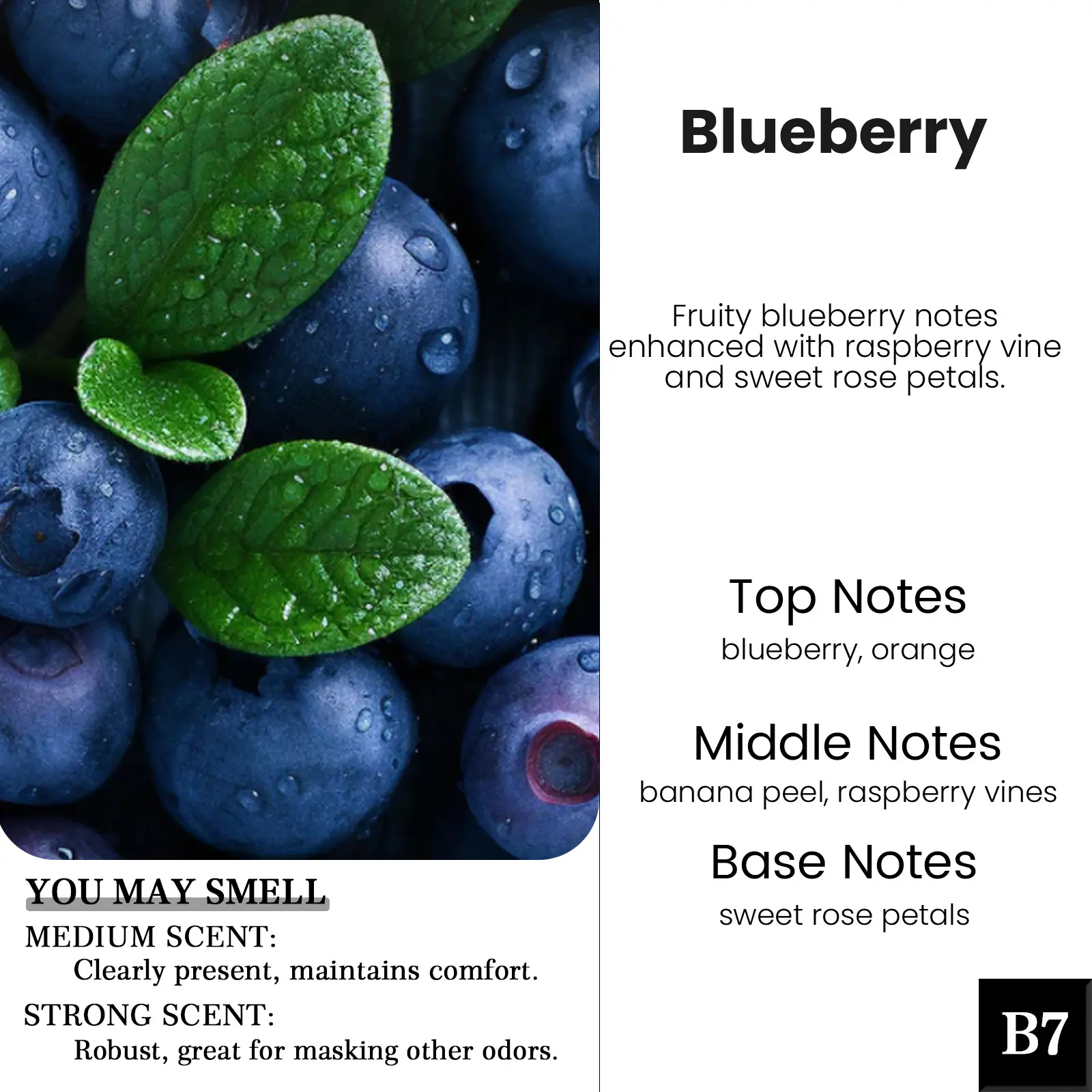 B7-Blueberry