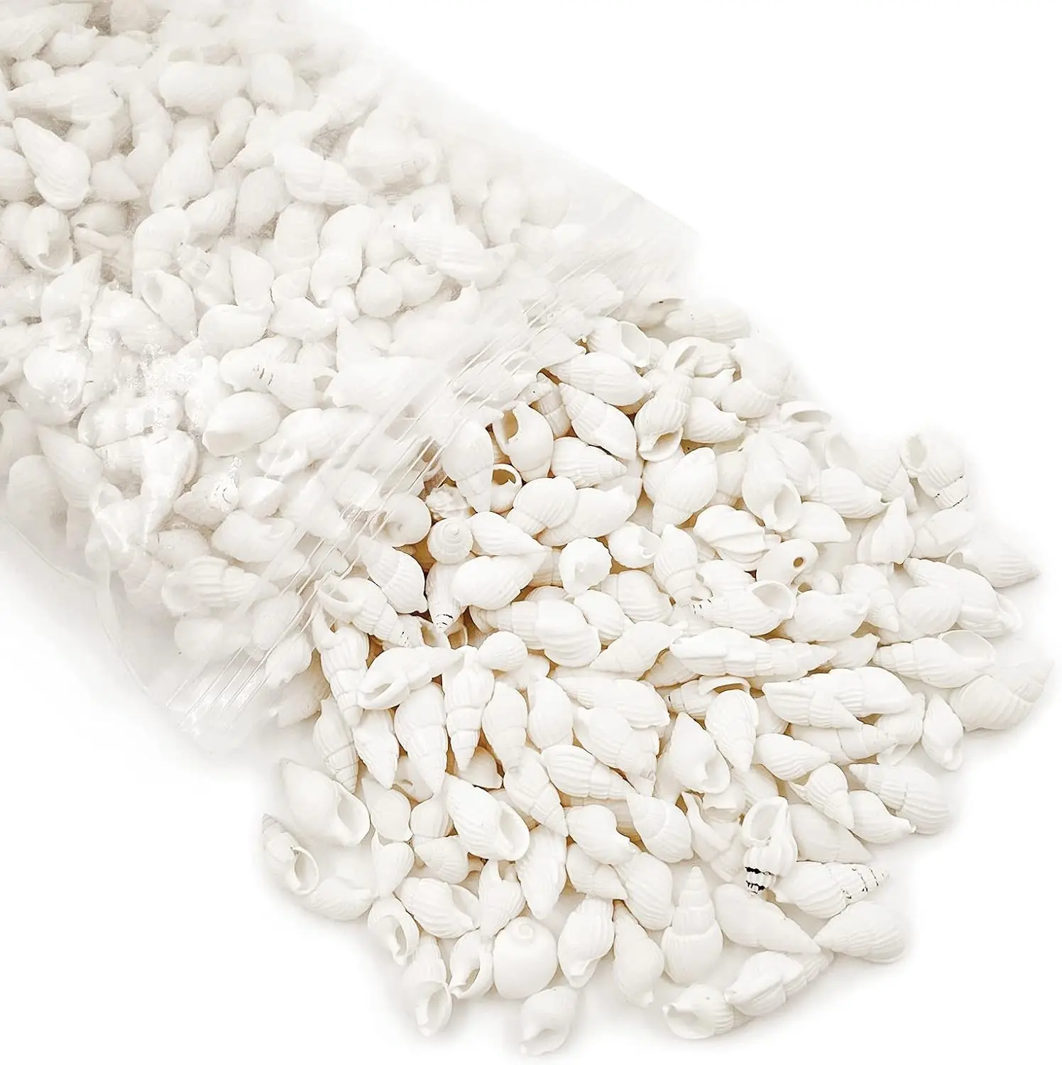 White Clam Cay Cay Sea Shells for Home Decorations, Party Wedding, DIY Crafts (About 350pcs Spiral Shape) | Home Decorations, Party Wedding, DIY Crafts, About 350pcs Spiral Shape
