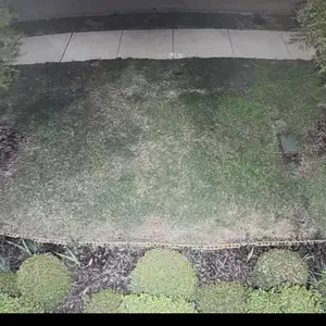 review image 7