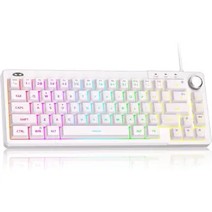 Mini 60% Gaming Keyboard, RGB Backlit Ultra-Compact Keyboard, TS68   Mechanical Feeling Office  Keyboards for PC, , PS4,   Gamer