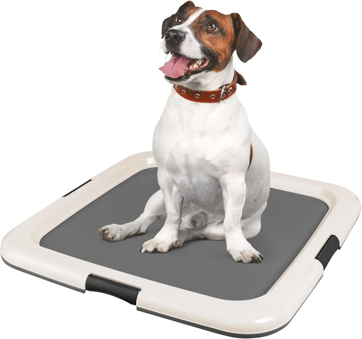 Indoor Dog Toilet Training Tray, Pet Potty Trainer, Leak-proof Pet Dog Urine Tray To Keep Dog Paws Dry & Floor Clean, Pet Accessories