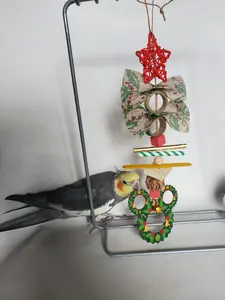 Mickey Wreath Winter/Christmas Holiday Theme Park Mouse (bird toy)