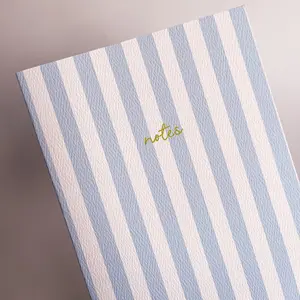 Baby Blue Striped Notebook with Contrast Color