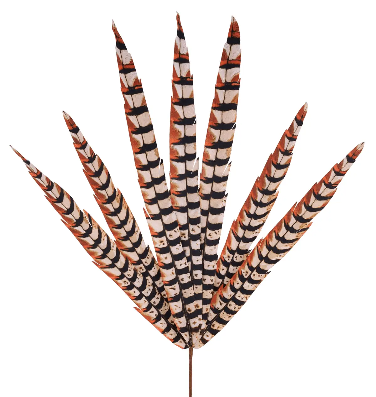 33"L Faux Pheasant Feather Spray X7 Cream/Black/Rust MJ0345F8