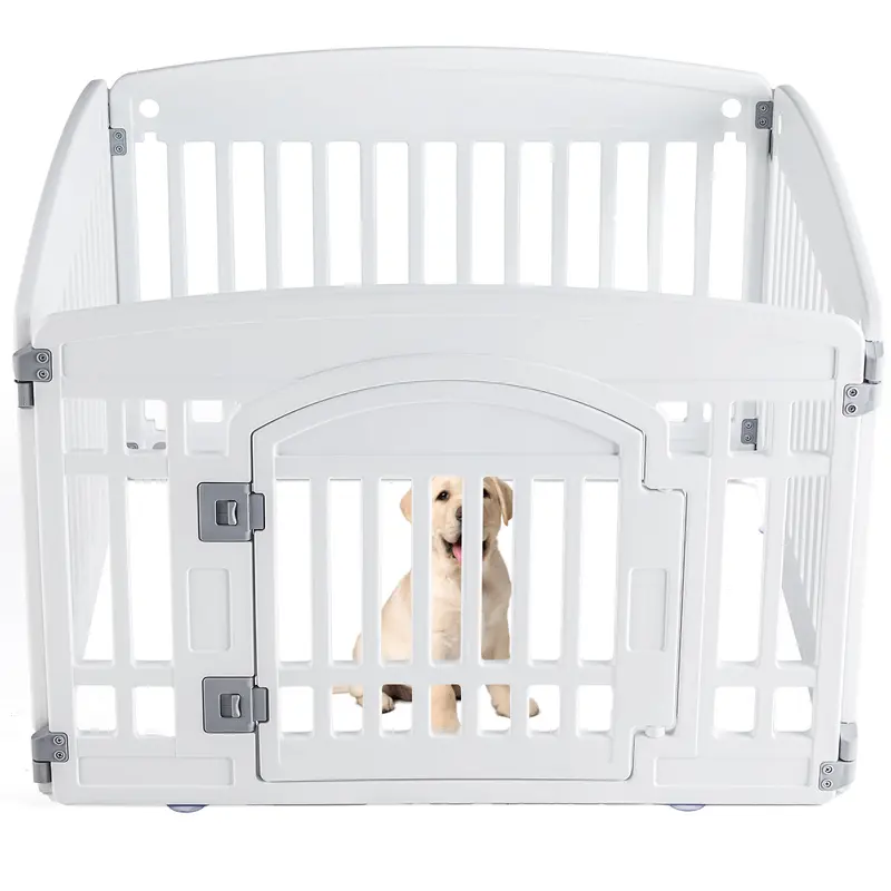 philodendron pet safe - TikTok Shop