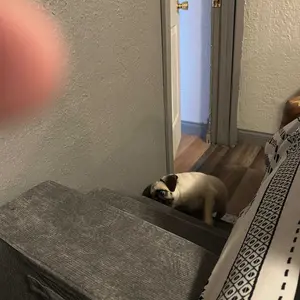 MADE 4 PETS Extra Wide Dog Stairs for High Bed Couch Sofa 35D Foam Pet Steps Non-Slip Bottom 4-Step for Small Dogs and Cats Up to 40lbs Home Use