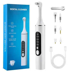 Electric Tooth Polishing Device, Home Teeth Cleaning Set with 6 Brush Heads LED Light , 5 Modes, USB Charging, Oral Care Tool