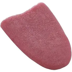 Realistic  Tongue Gross Jokes Prank Magic Tricks Halloween Horrific Magicians Props Fashion Processing Novelty Props