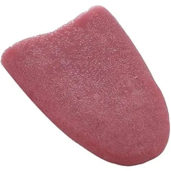 Realistic  Tongue Gross Jokes Prank Magic Tricks Halloween Horrific Magicians Props Fashion Processing Novelty Props