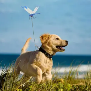 Indoor and Outdoor Decorative Fake Rod Clips, Multi-Color Waterproof Fake Creative hat Clip deccoration, Dragonfly Hummingbird Garden Wooden Stakes