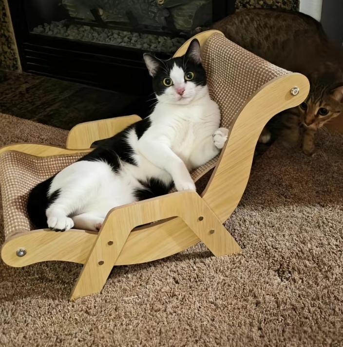 Cat Scratcher Chair