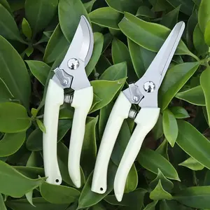 Garden Flower Shears, Pruning Shears Set, Handles, Straight & Bypass Design, Ideal for Cutting, Trimming, Bonsai, Fruit Picks