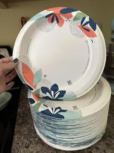 100 Count Everyday Disposable Paper Plates, 8.5"