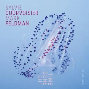 Courvoisier / Feldman - Time Gone Out  [COMPACT DISC - CD]