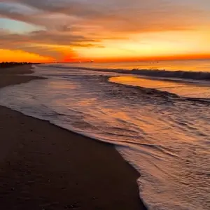 Rise and shine with the tides.