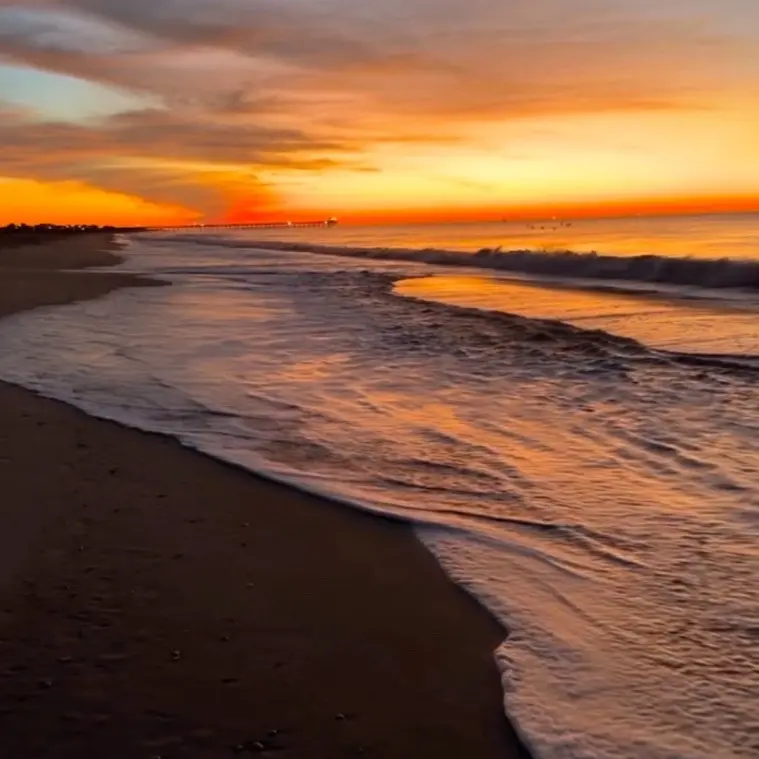 Rise and shine with the tides.