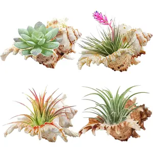 4 Pack 4-5 inches Conch Shells for Decorating air  Holders  Succulent Pot Betta Fish  Decoration Aquarium decor Fish House for Aquarium Beach Theme Party (No )