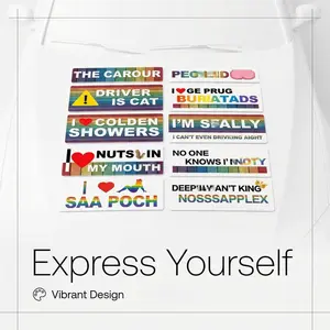 10-Pack Funny Pride Car Magnets Set – Hilarious LGBT Rainbow Bumper Stickers, Reusable Waterproof Auto Magnets for Truck, SUV, Van | Novelty Gag Gifts for Adults