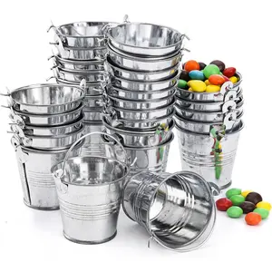 30 Pack Mini Metal Buckets with Handles, 2 Inch Mini Galvanized Buckets Metal Tin Pails Containers for Party Favor Crafts  Decorations Succulent