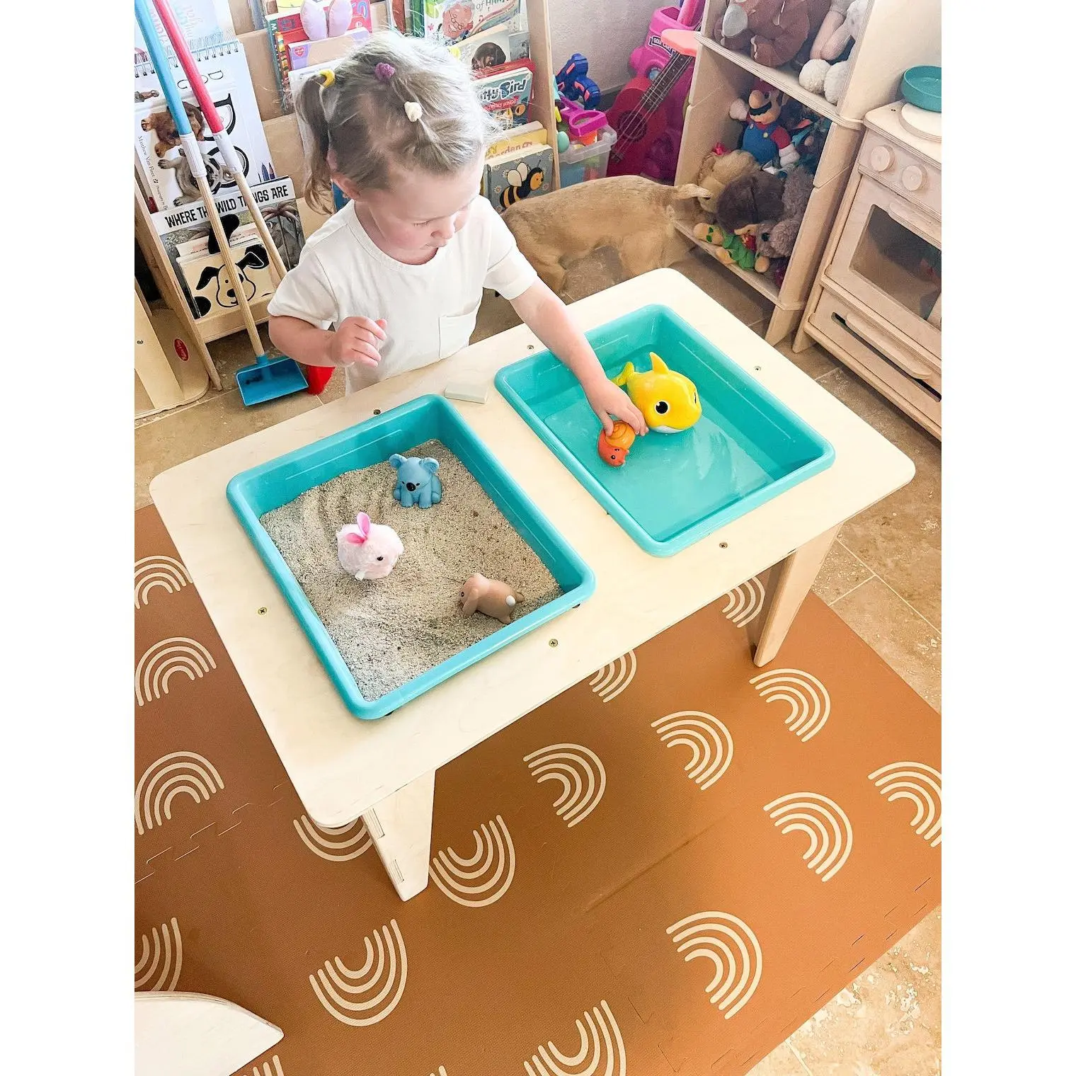 MADDIE- Sensory Table