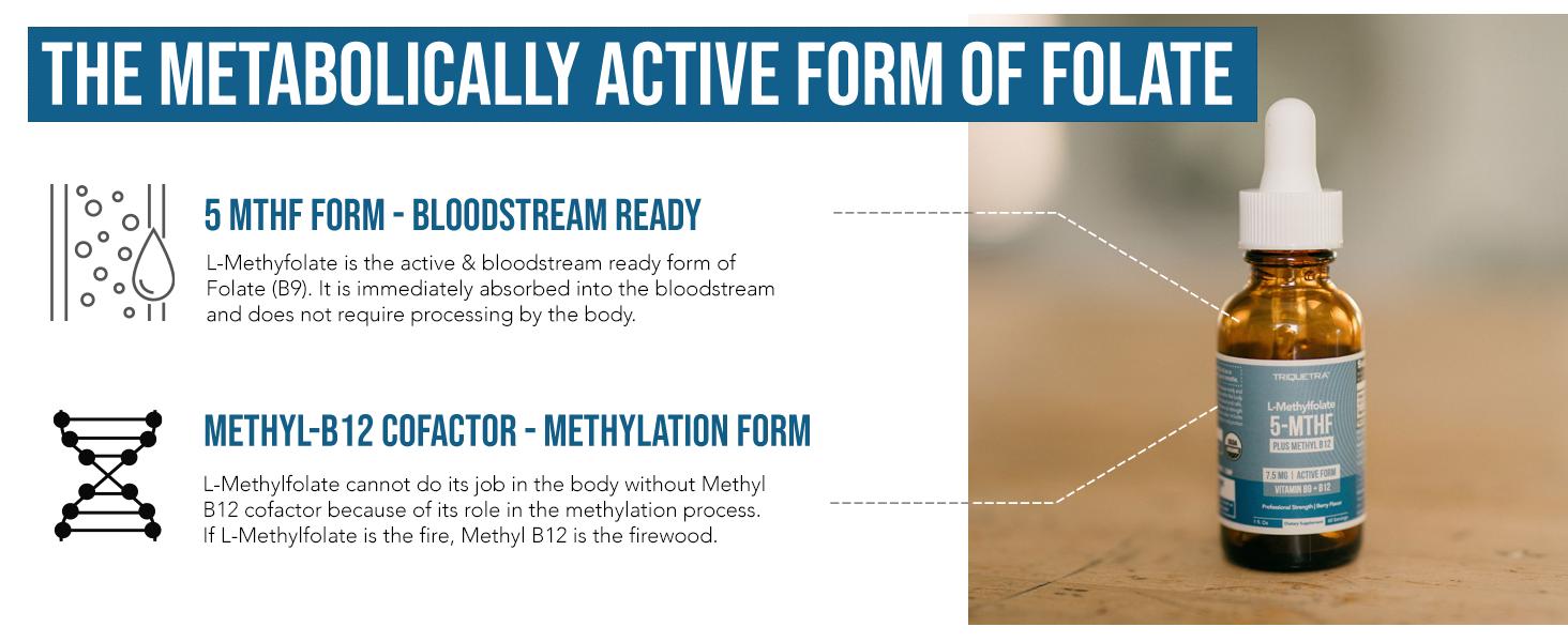 L-Methylfolate 7.5mg + Methyl B12 | Active 5-MTHF Form, Liquid, Organic Berry Flavor – Supports Mood, Cognition, and Methylation Healthcare Dietary