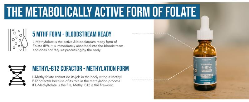 L-Methylfolate 7.5mg + Methyl B12 | Active 5-MTHF Form, Liquid, Organic Berry Flavor – Supports Mood, Cognition, and Methylation Healthcare Dietary