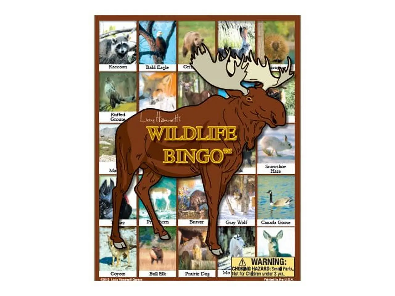 Lucy Hammett Wildlife Bingo 6 Picture Boards, 42 Cards & Bingo Chips, All Ages